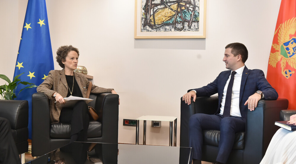 Bečić – Vag: Naš fokus su jake institucije koje su otporne na sve
