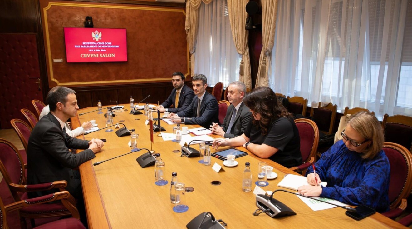 Mugoša: Neophodnost sprovođenja strukturnih reformi na EU integracionom putu