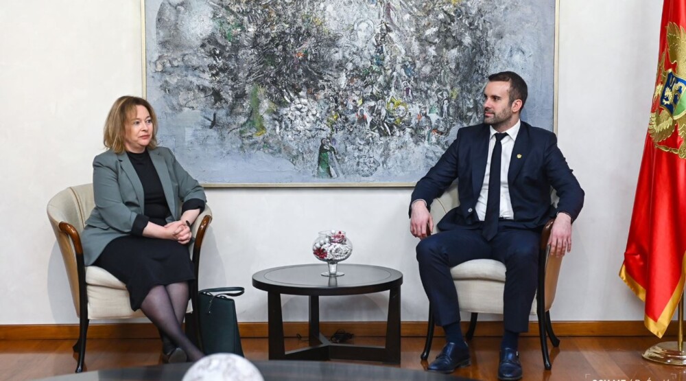 Spajić: Izgradnja nove bolnice, transfer znanja i praksi jedan od prioriteta Vlade