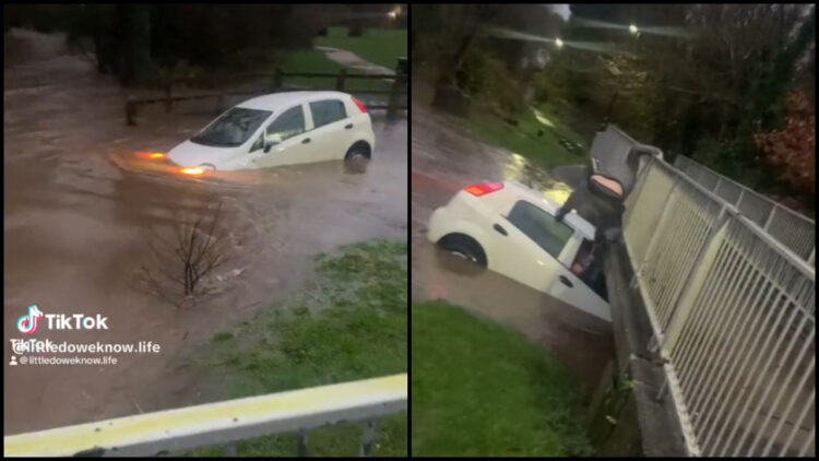 (VIDEO) Herojski čin: Spašene trogodišnja djevojčica i njena majka iz vozila koje tone