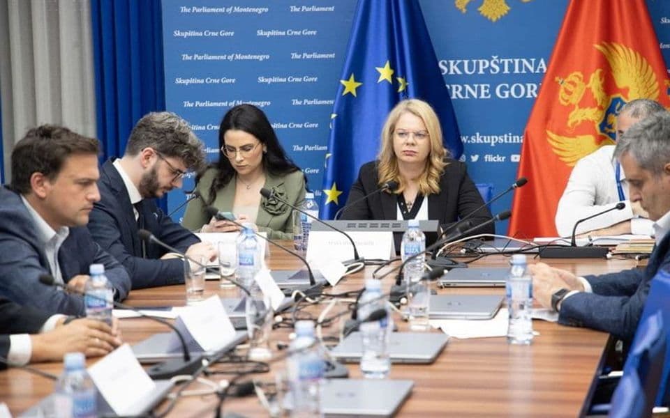 Traže mišljenje Evropske i Venecijanske komisije