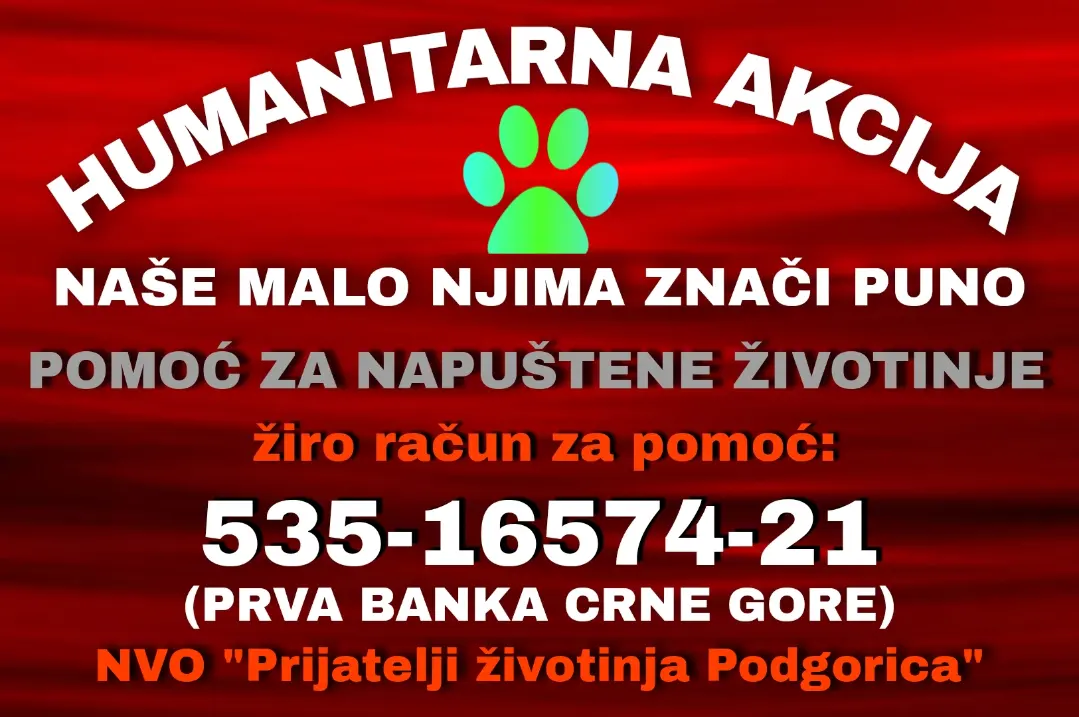 Za napuštene životinje: Humanitarna akcija “Naše malo njima znači puno”