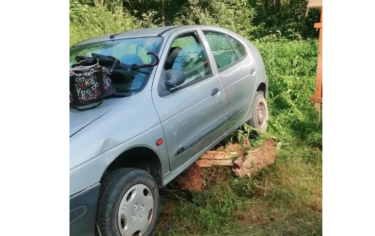 Pljevlja: Zbog guštera u vozilu žena sletjela sa puta