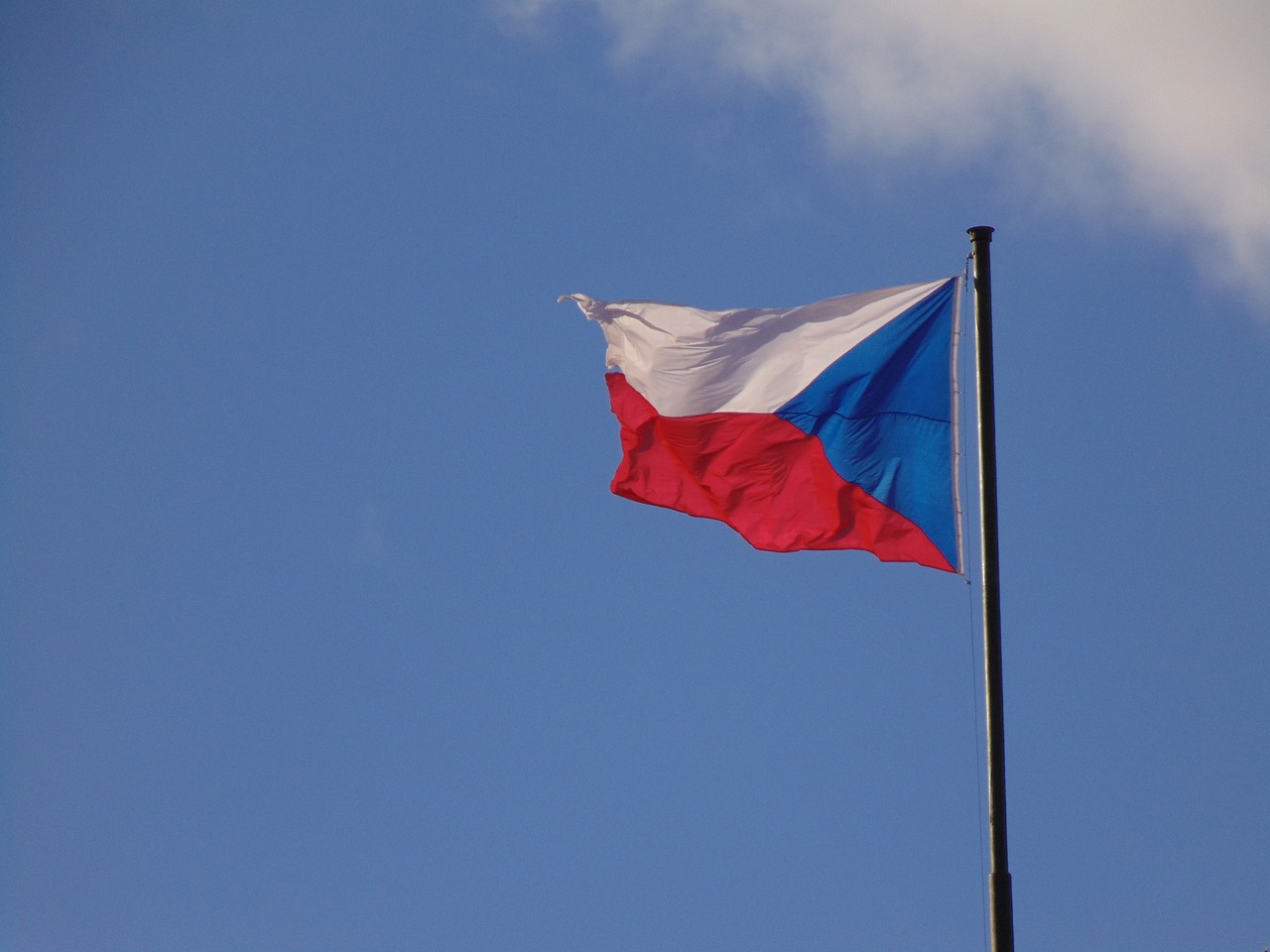 Ilustracija; Foto: Pixabay
