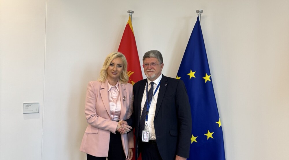 Gorčević sa europoslanicima: Crna Gora nadomak cilja