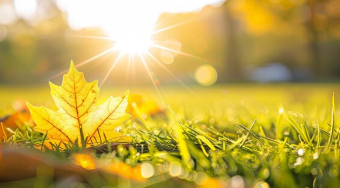 Danas pretežno sunčano, temperatura do 24 stepena
