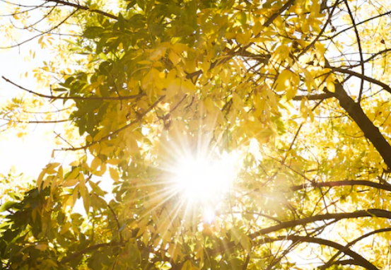 Ilustracija, Foto: Pixabay