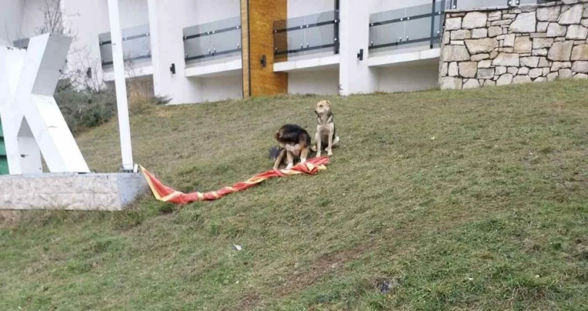 Foto: DPS Žabljak