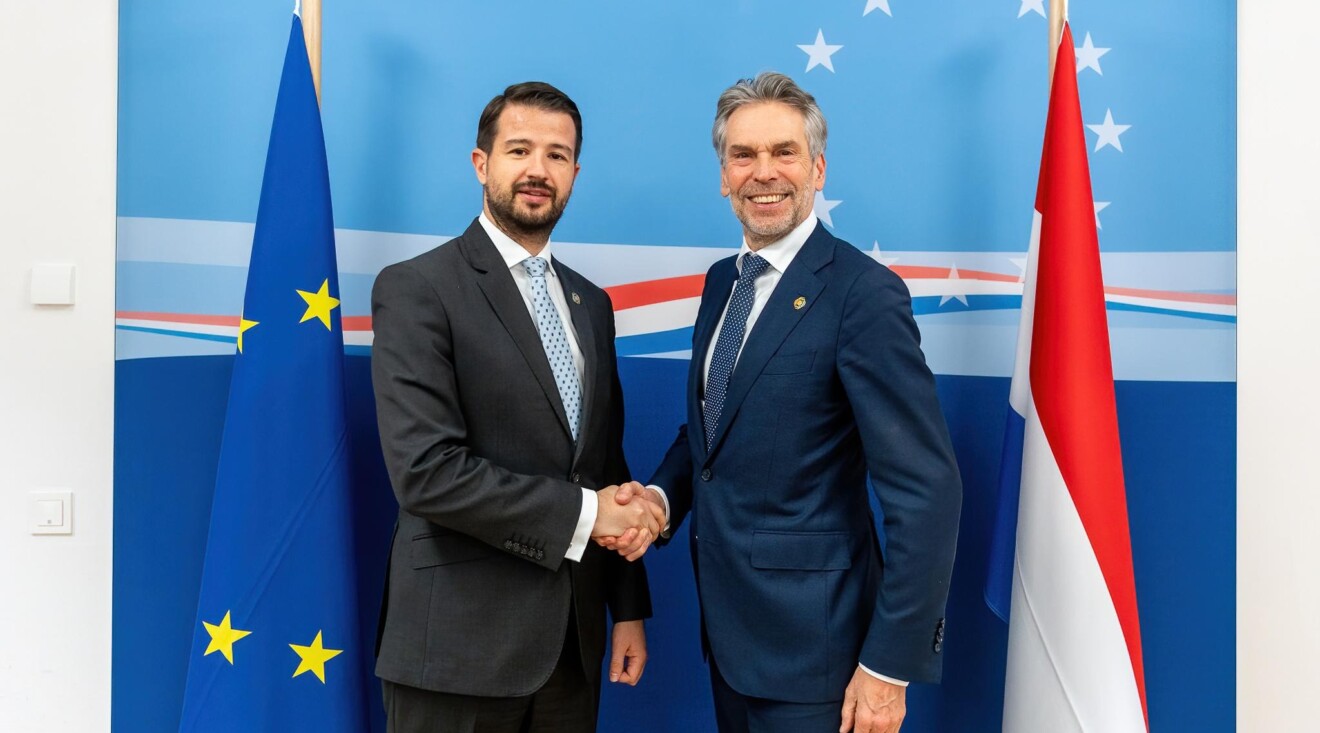 Milatović – Šof: Nizozemska podržava evropski put Crne Gore