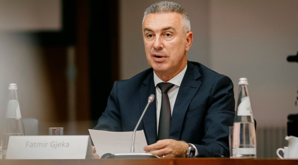 Đeka: Uloga posmatrača u agenciji za temeljna prava EU još jedan krupan korak na integracionom putu