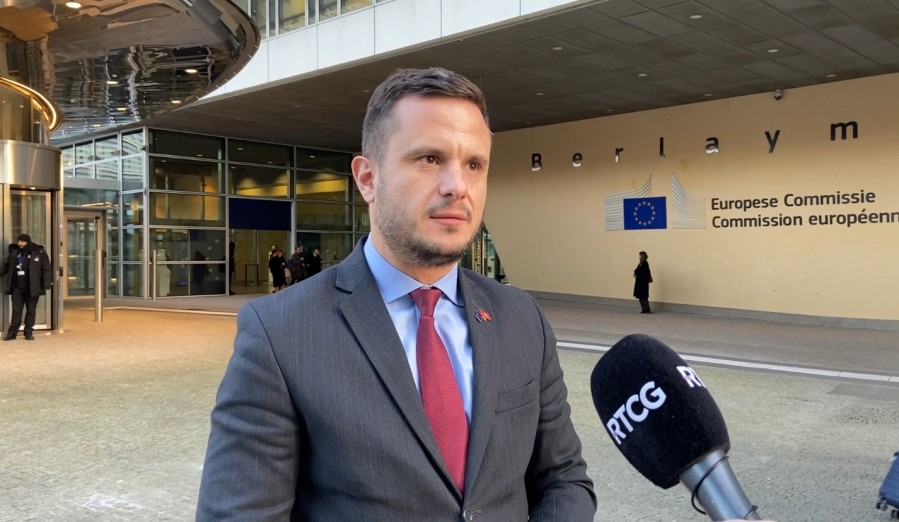 Zenović o viznoj politici: Donijeti racionalne i razborite odluke