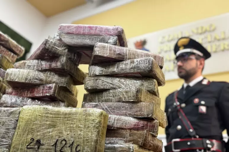 Velika akcija u Italiji: Policija zaplijenila kokain vrijedan 10 miliona eura