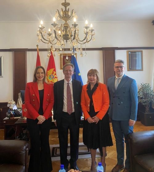 Pavličić: Trasirati put da crnogorski sudski sistem bude siguran sistem za privredni razvoj