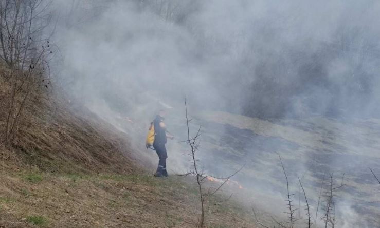 Bijelo Polje: Vatrogasci ugasili više požara uprkos jakom vjetru