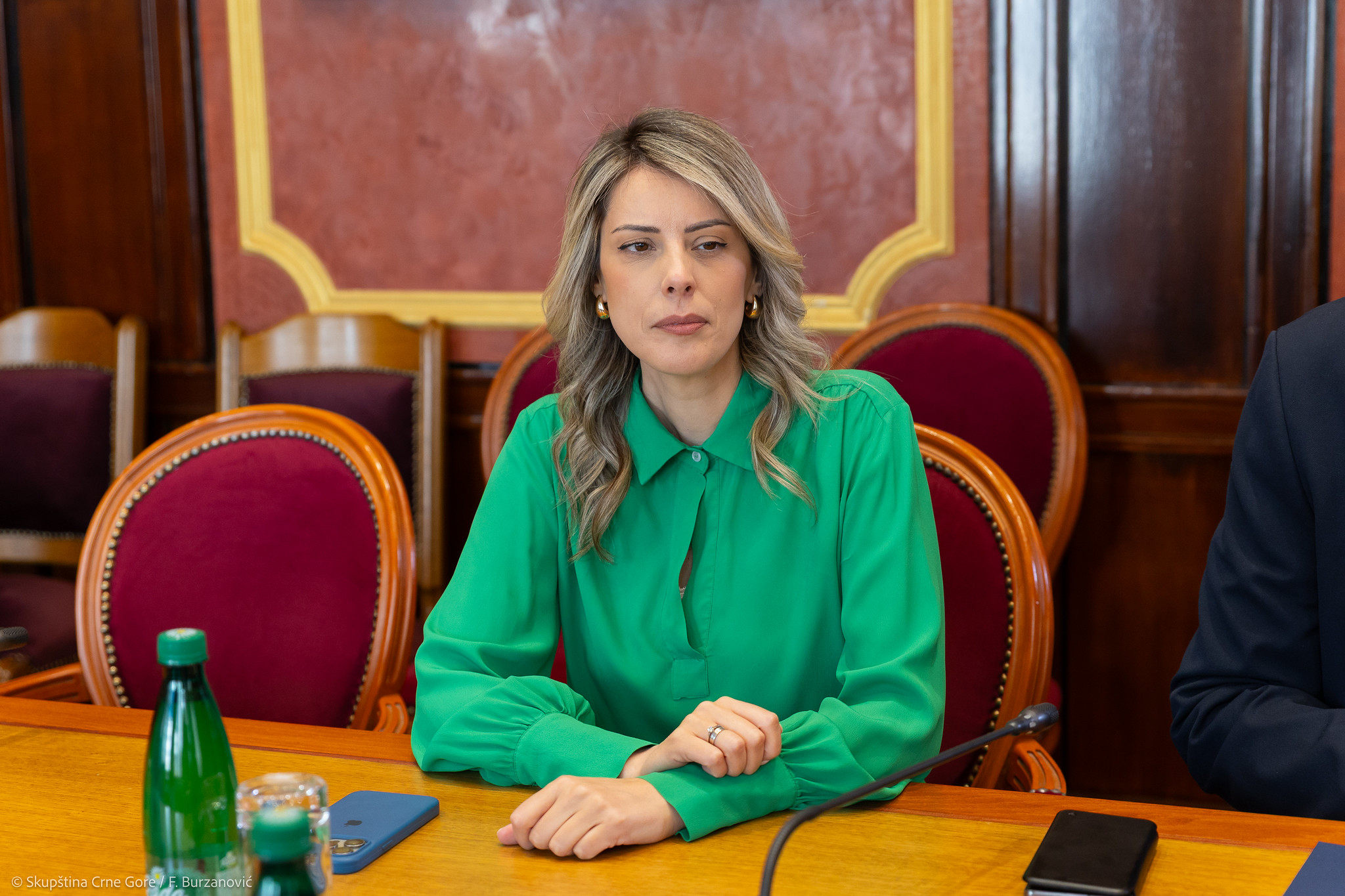 Foto: Skupština Crne Gore