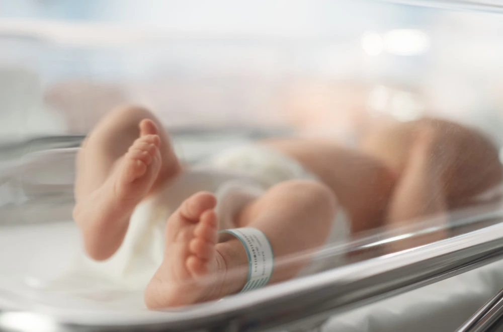 Foto: Shutterstock/ Gorodenkoff