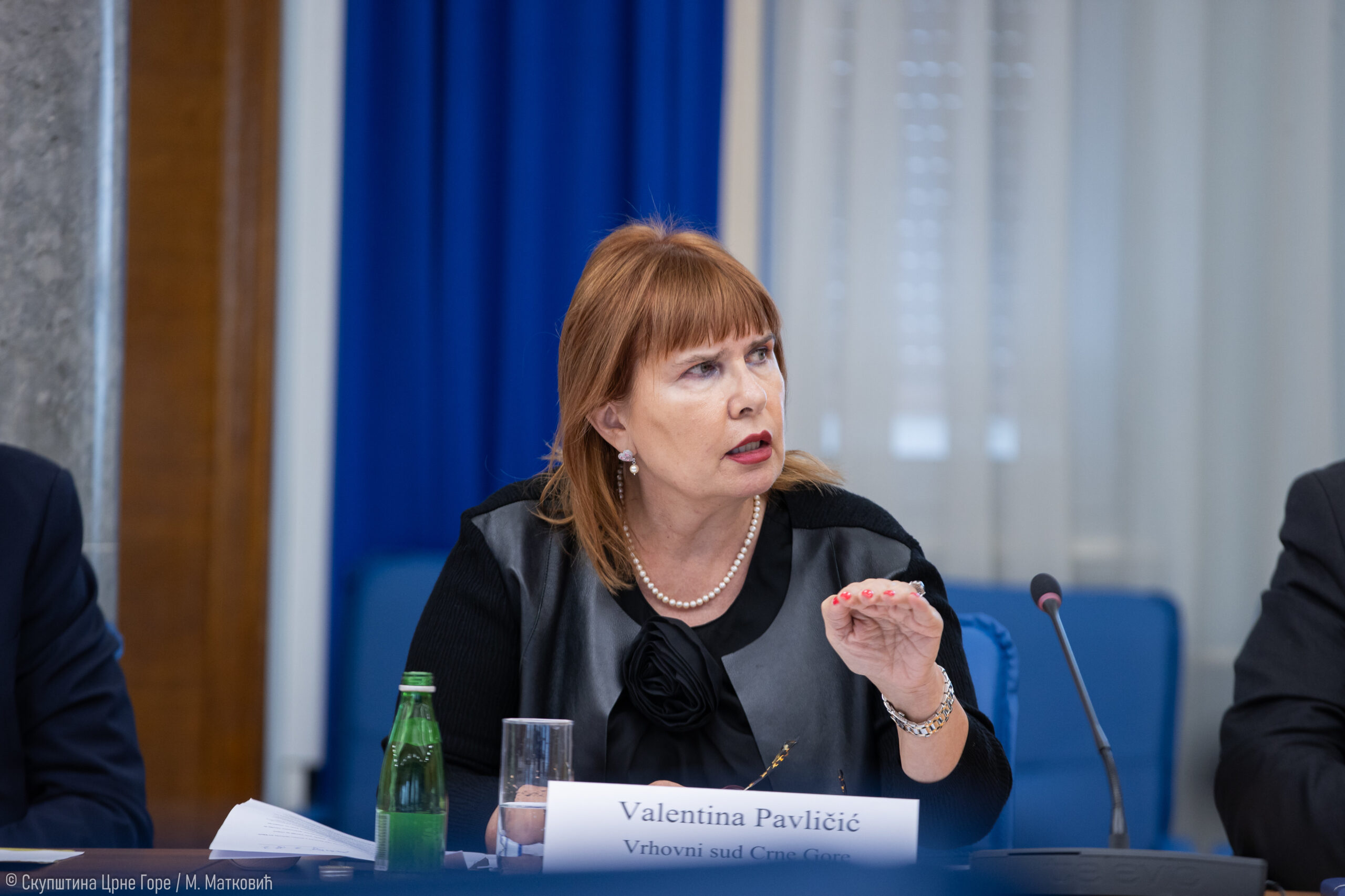 Pavličić: Značajan napredak u radu sudskog sistema