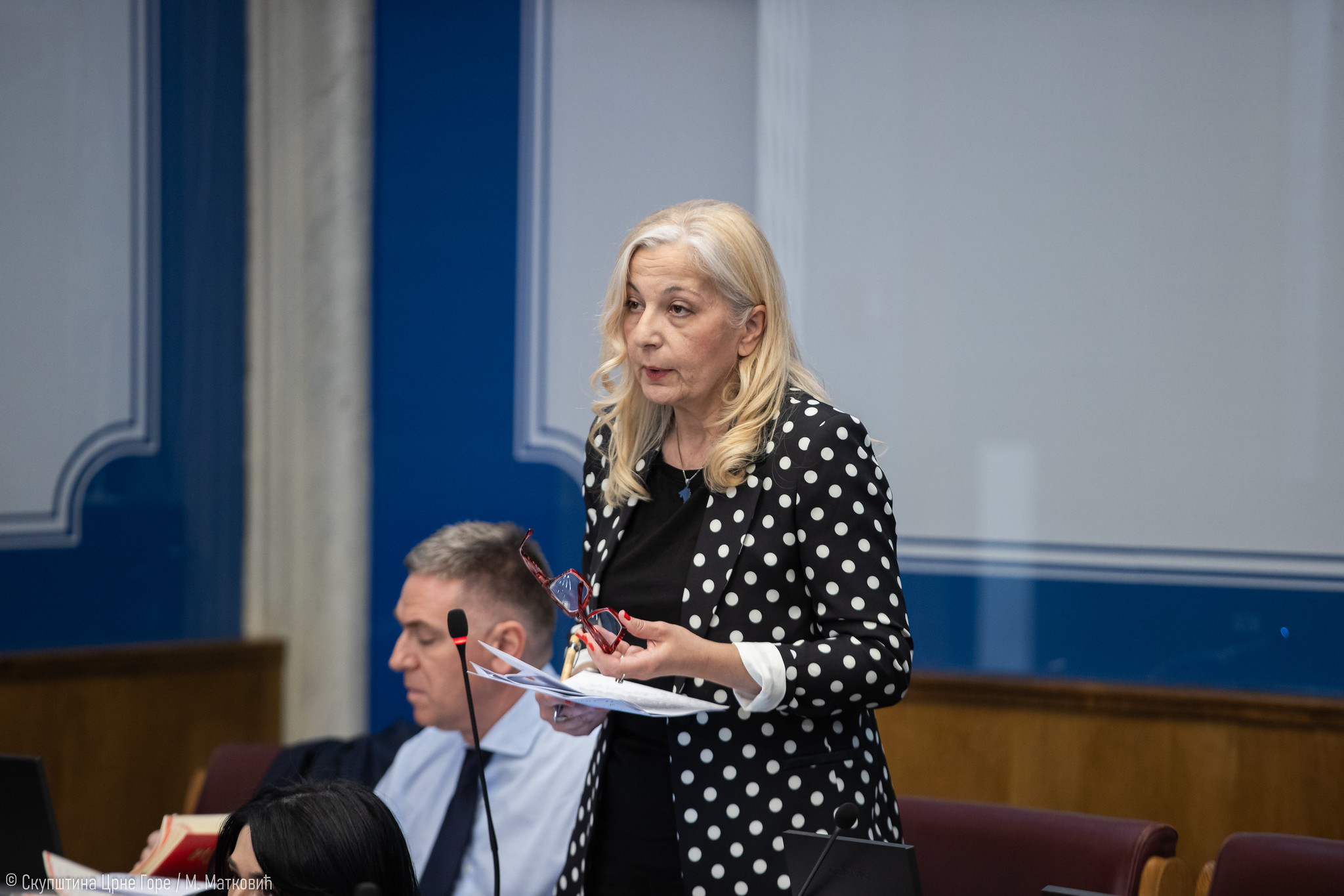 Despotović: Duže od dvije godine SDT ćuti o slučaju Meljine – Petijević