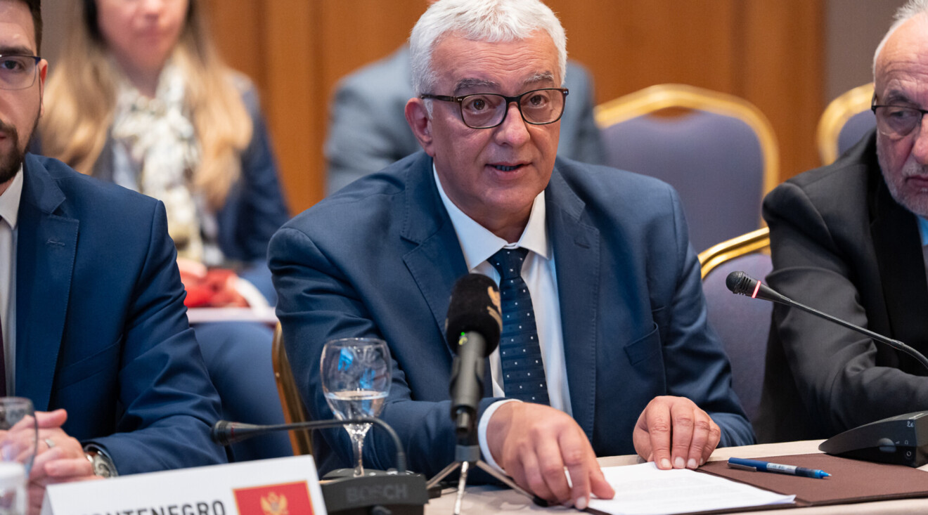Mandić: Crna Gora duboko privržena evropskoj perspektivi, plan da ove godine zatvorimo sedam ključnih pregovaračkih poglavlja