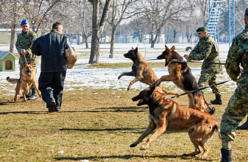Foto: Ministarstvo odbrane Srbije