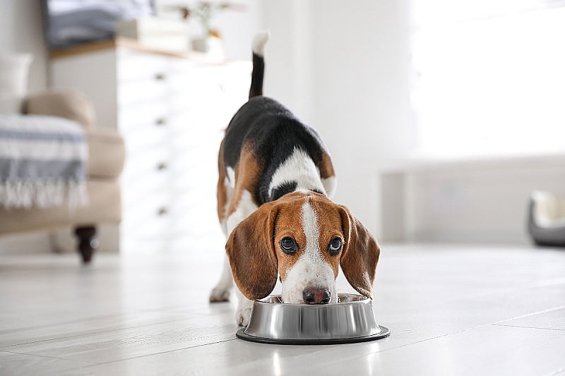 Foto: Shutterstock