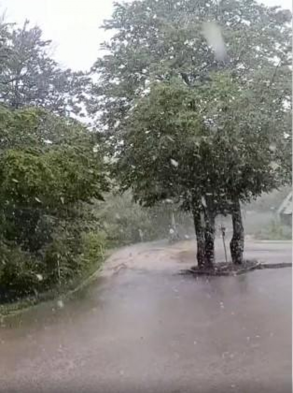 SNIJEG U HRVATSKOJ/ - FOTO: PRTSC/BHMETEO.BA
