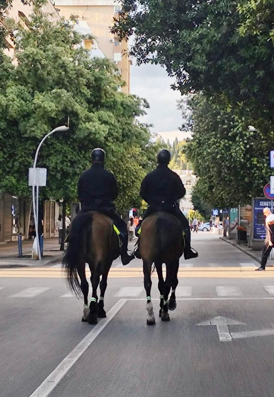 Policija nadomješta manjak kadra: Specijalci i konjička jedinica u akciji