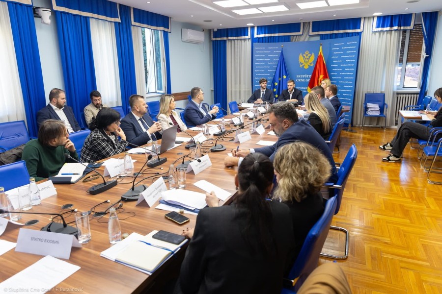 Foto: Skupština CG