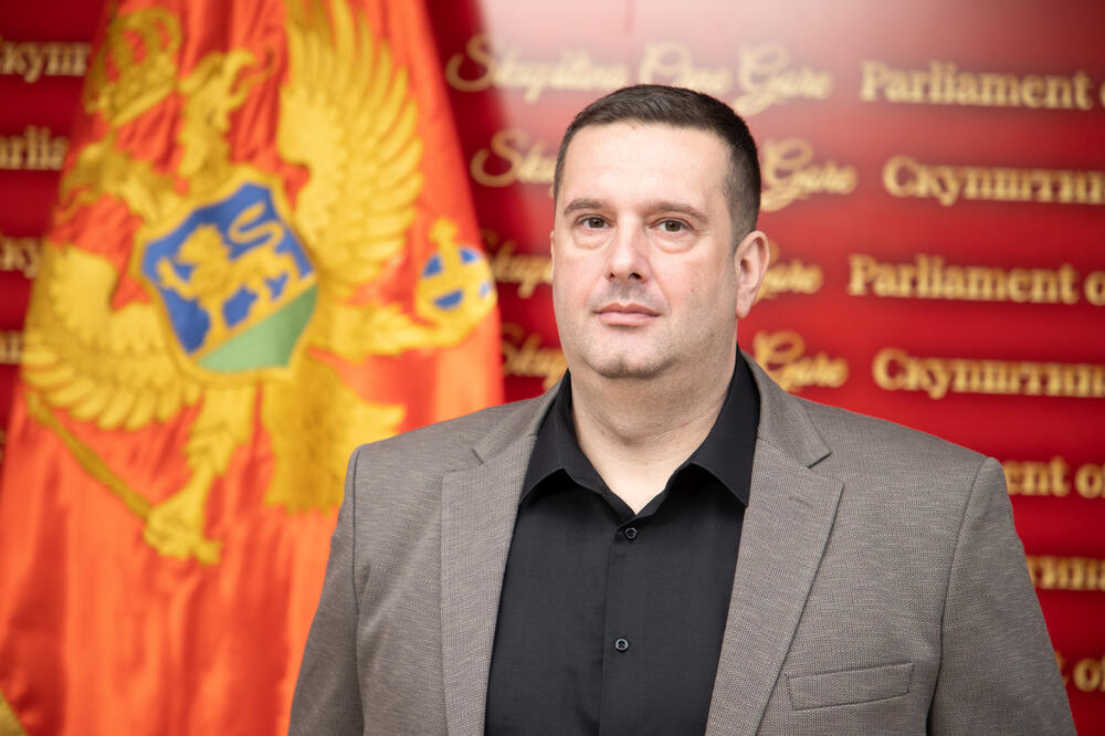 Marković izabran za člana Odbora za bezbjednost i odbranu