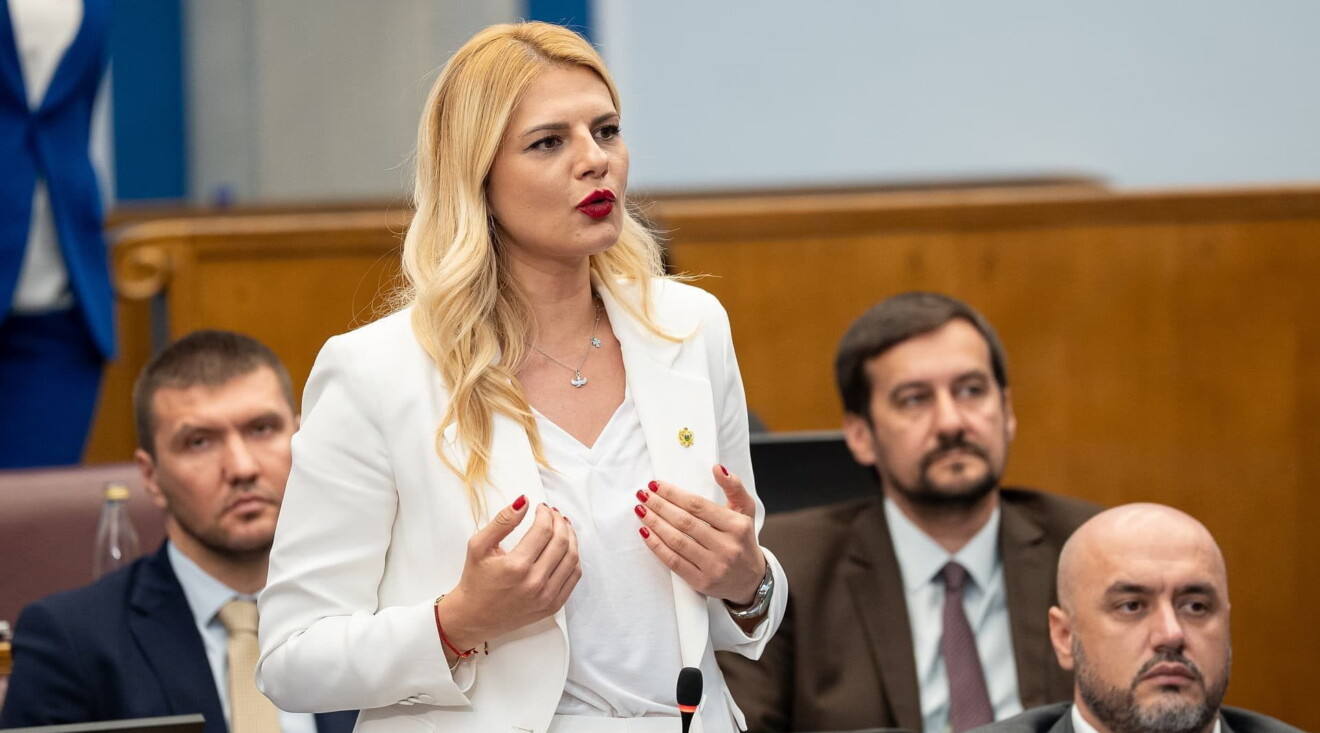 Nedović podnijela ostavku na članstvo u Odboru za bezbjednost i odbranu