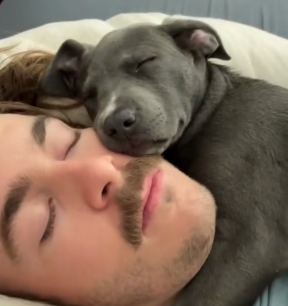 Foto: Printscreen/ TikTok/ Happypaws