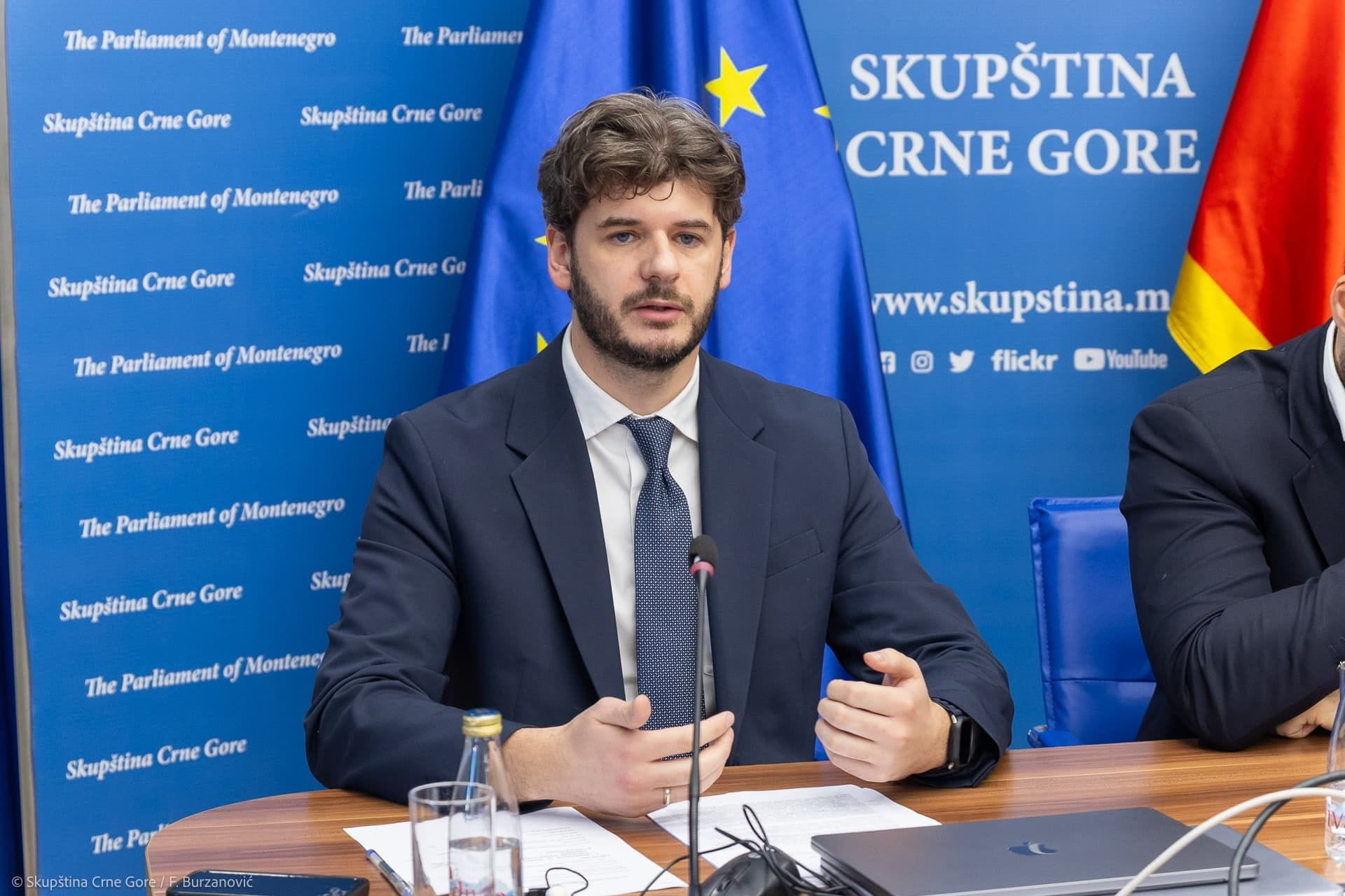 Čarapić: Izbor sudija Ustavnog suda da protekne bez trulih političkih kompromisa