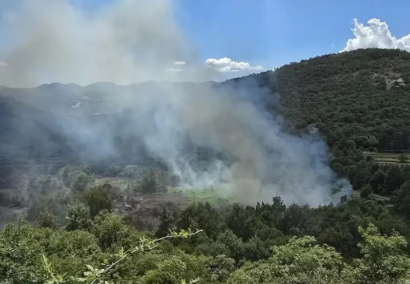Izvor: Služba zaštite i spašavanja Prijestonice Cetinje