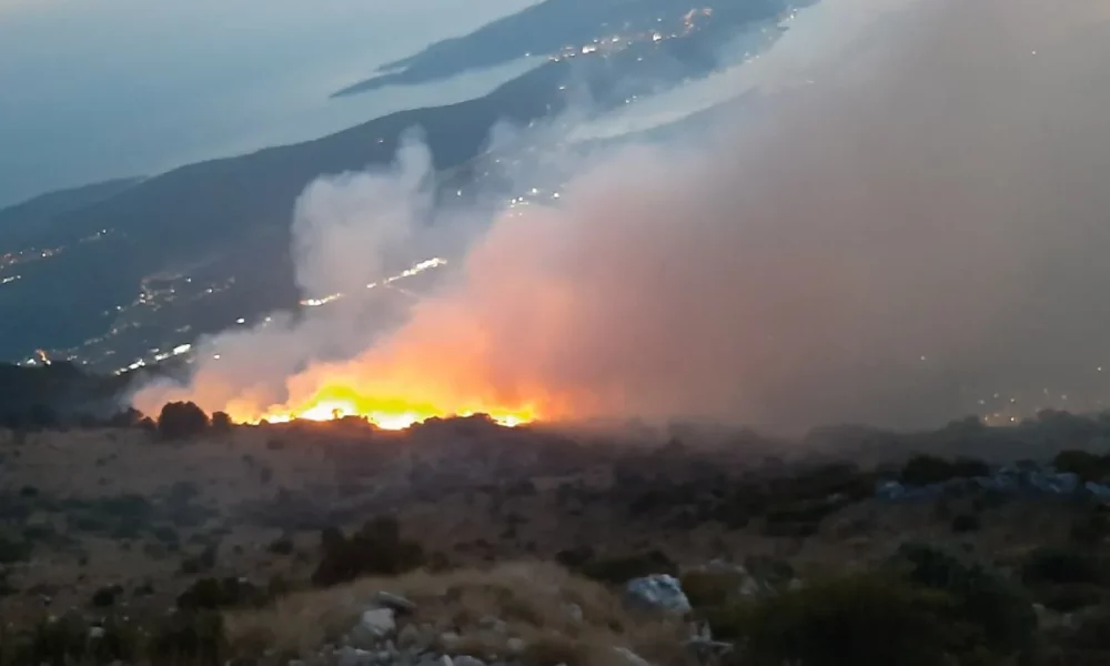 Požar na Lovćenu izmakao kontroli ujutro se očekuje pomoć aviona