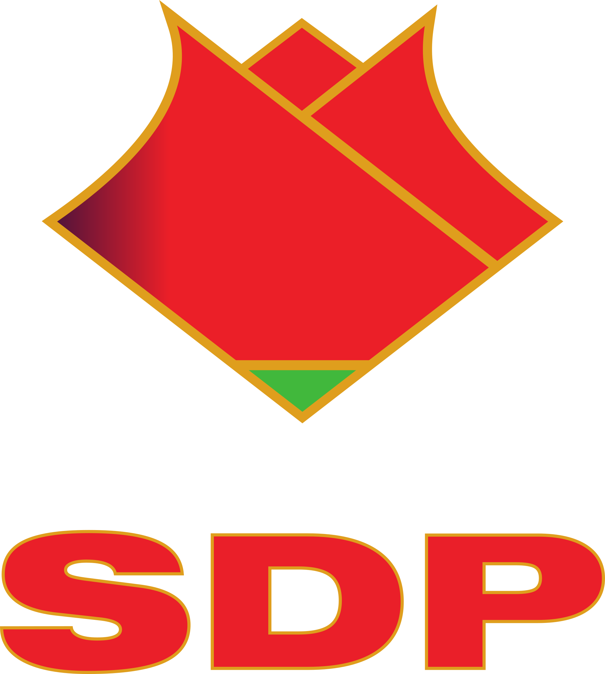 Foto: Forum žena SDP