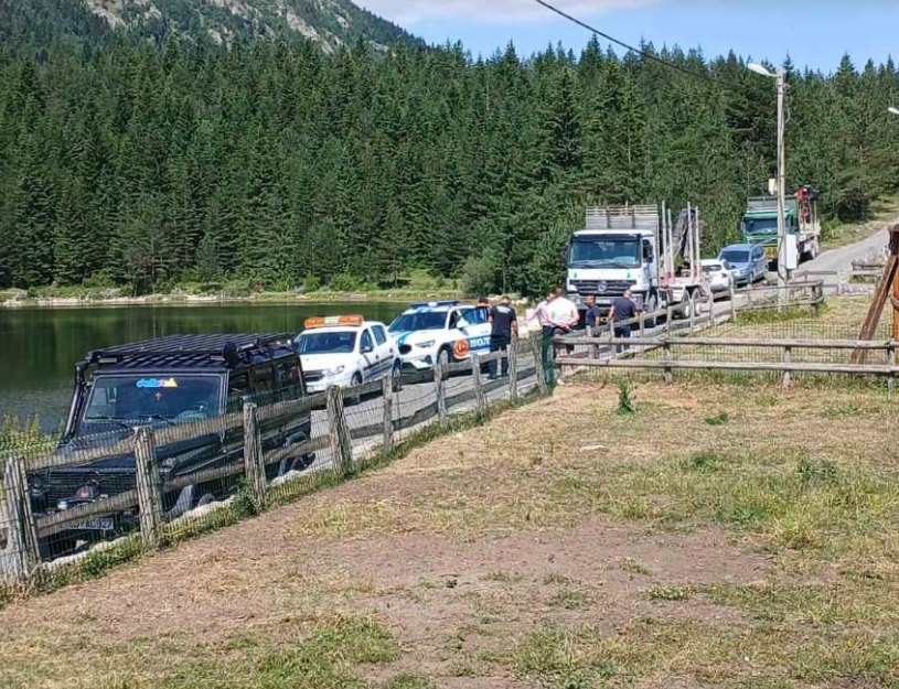 Žabljak: Mještani Zminice blokadom puta kroz selo onemogućili transport balvana