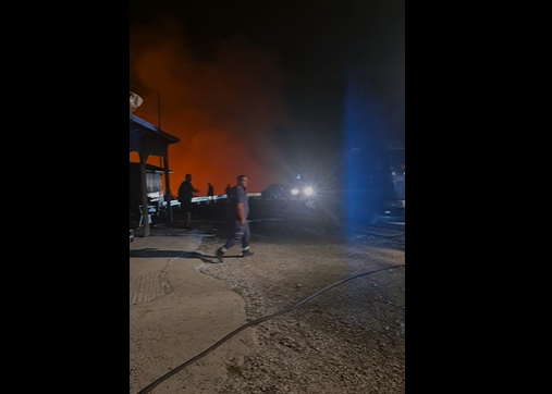 Foto: Screenshot Radio Cetinje video