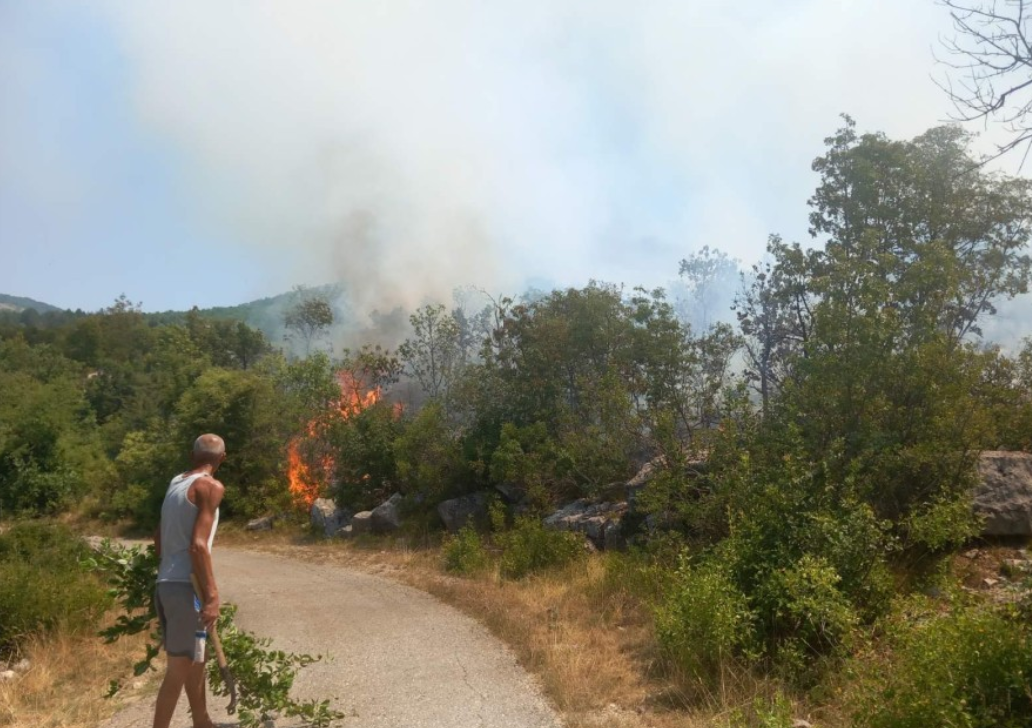 Foto: Slobodan Doknić