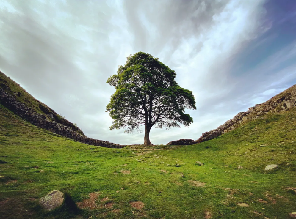 Ioanna Efstratiou/Shutterstock