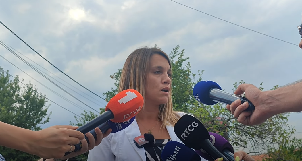 Tužiteljka Protić: Izuzima se veći broj video nadzora povodom ubistva Igora Nedovića