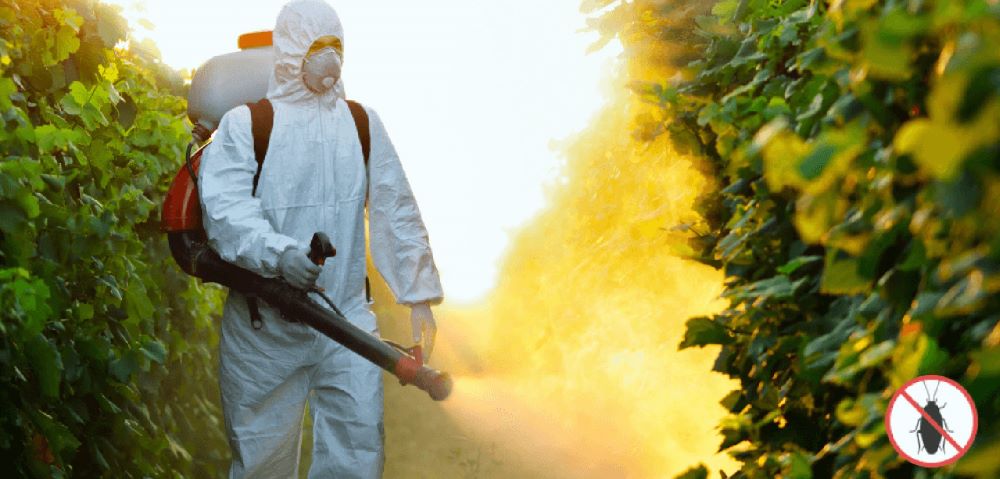 Počela druga etapa dezinsekcije na teritoriji Podgorice