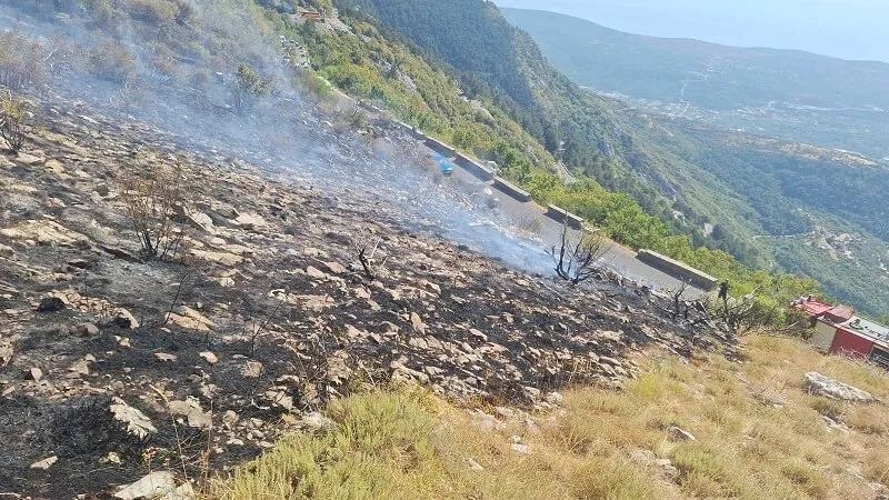Foto:Cetinjski list