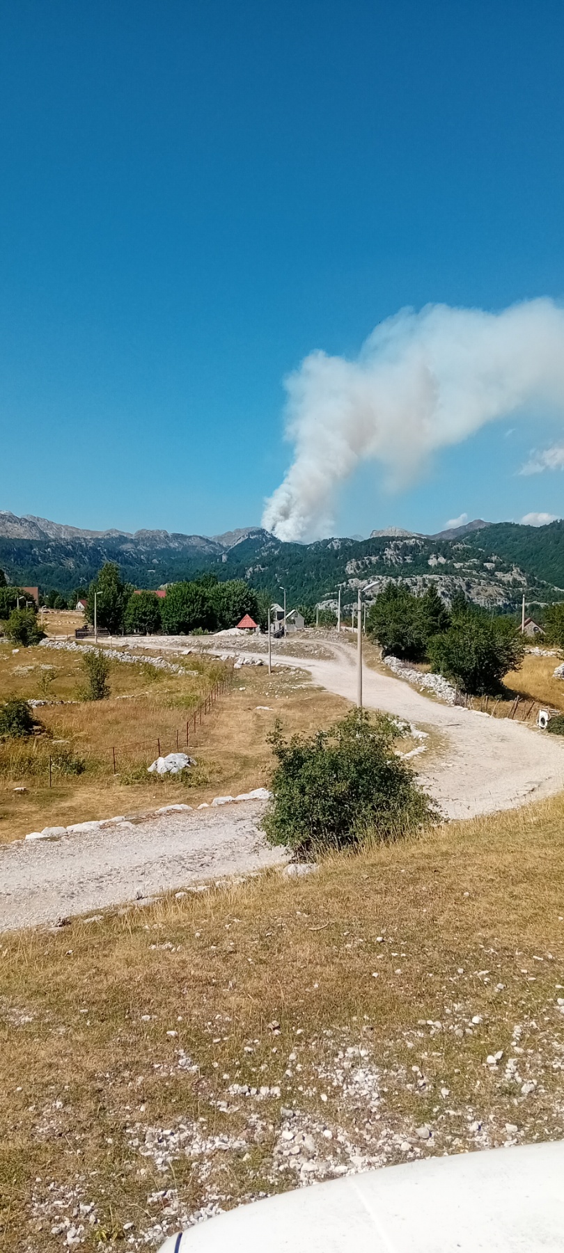 Požar u Kučkim koritima