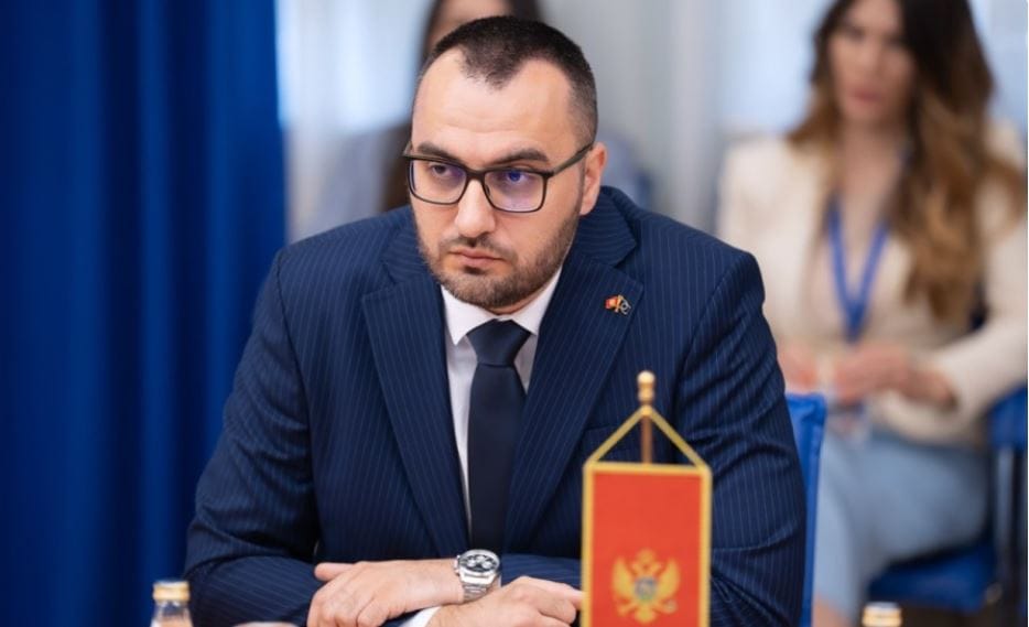 Demokrate nastavile provociranje susjeda: Stjepović se u Danskoj obrušio na Hrvatsku