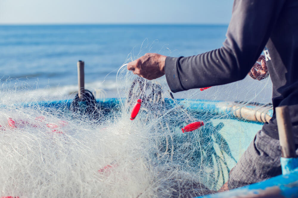 Ilustracija, Foto: Shutterstock