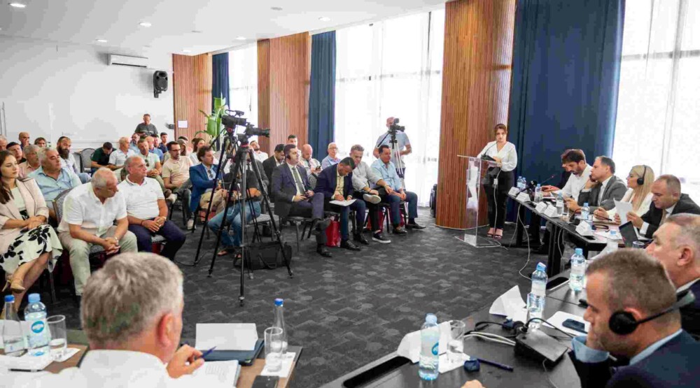 Ministarstvo: Želimo da ojačamo saradnju sa ulcinjskom dijasporom