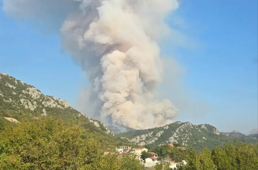 Foto: Primorski portal