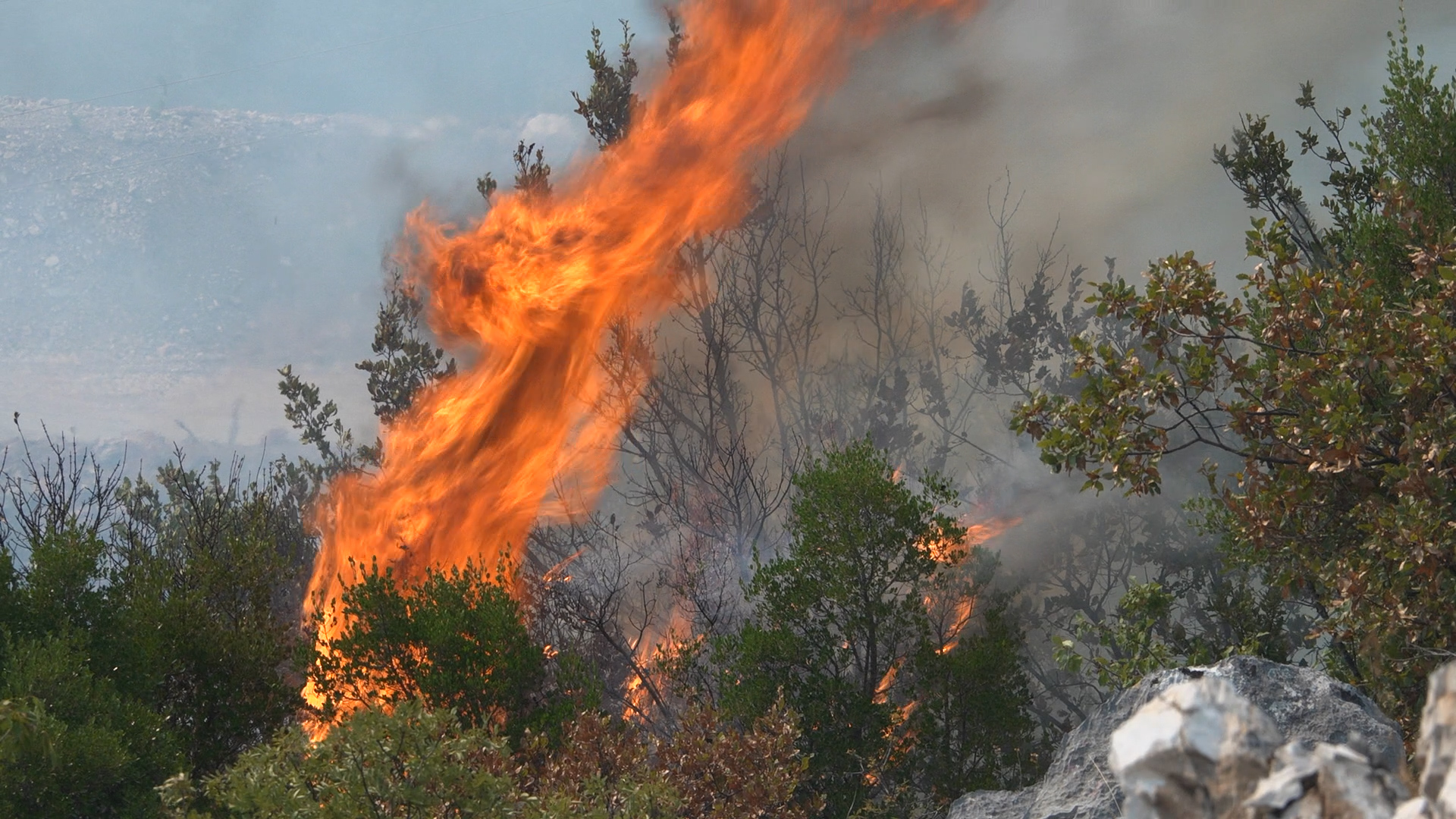 Foto: MediaBiro/arhiva