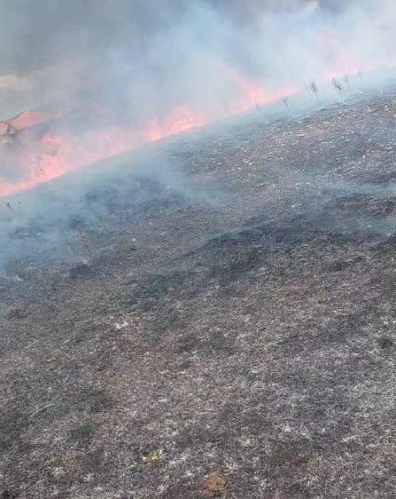 (VIDEO) Požar u Kokotima pod kontrolom, nema ugroženih kuća