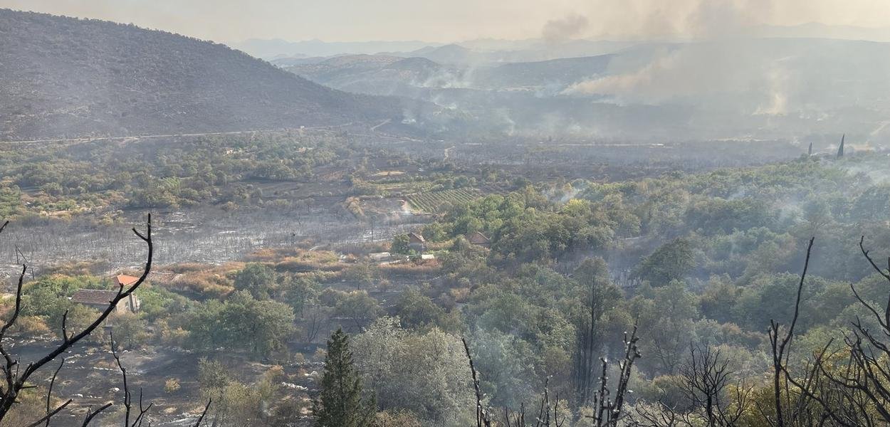 Foto: Portal ETV/Tamara Klikovac